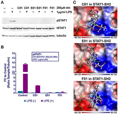 Genome-Wide Inhibition of Pro-atherogenic Gene Expression by Multi-STAT Targeting Compounds as a Novel Treatment Strategy of CVDs